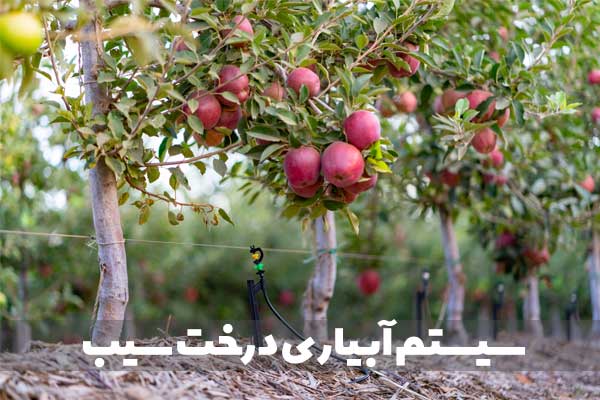 سیستم های آبیاری درخت سیب